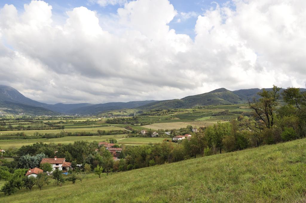 Holiday Home Slavi Vipava Eksteriør billede
